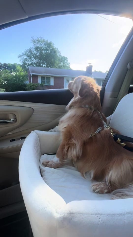 Post 9 by thecourtneyconklin on TikTok (video)