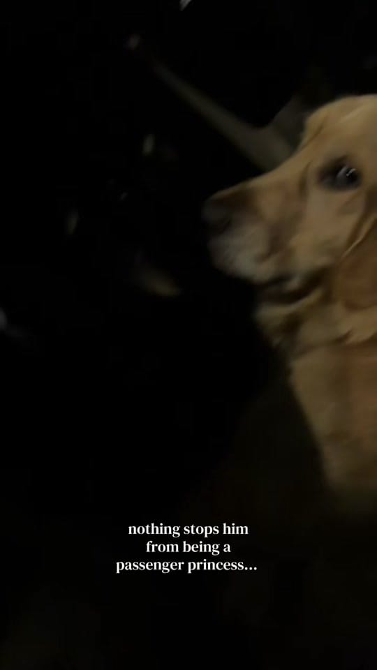 Post 3 by Brooke Fleming, PT, DPT on TikTok (video)