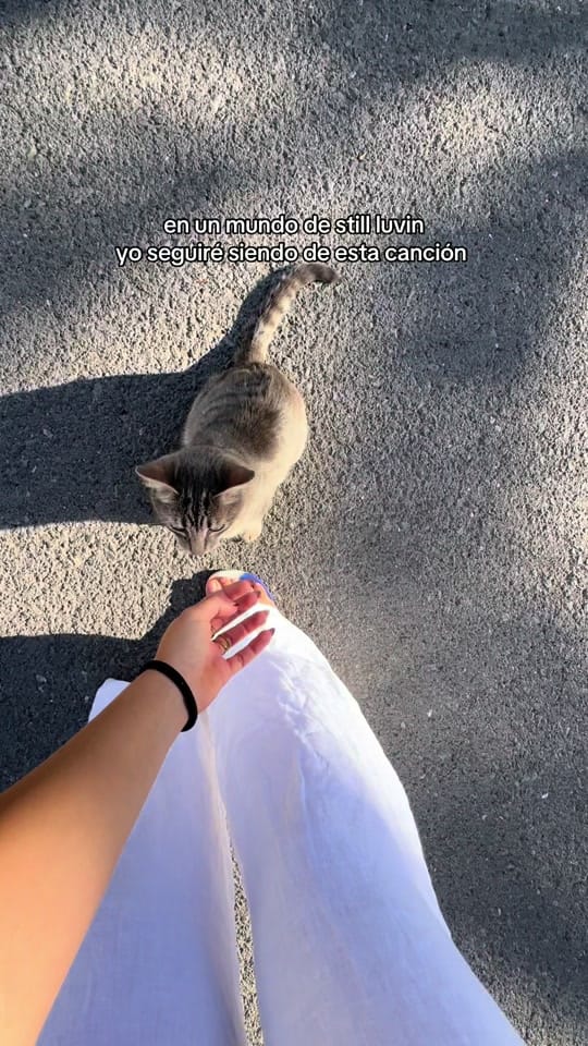 Post 8 by Rocío Grande on TikTok (video)