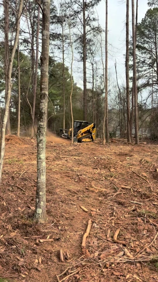 Post 2 by Southernscapestreeexperts on TikTok (video)