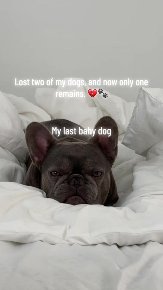 Post 1 by Alice 🫀 | RN 🩺 🇺🇸 on TikTok (video)