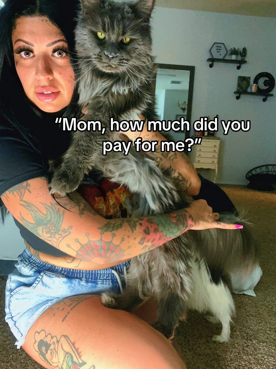 Post 10 by ✨Ash 💃🏽 + Freya 🐈‍⬛✨ on TikTok (video)