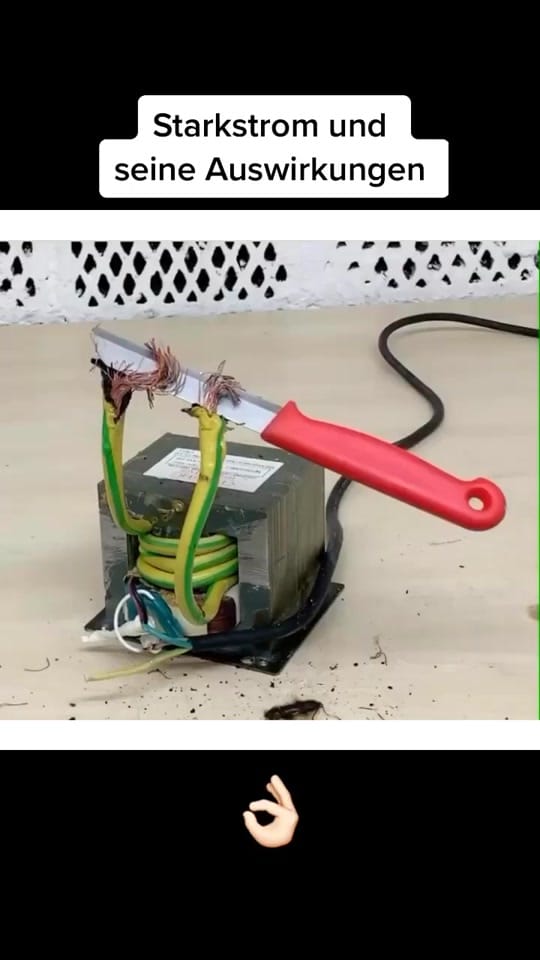 Post 8 by sCoolScience on TikTok (video)