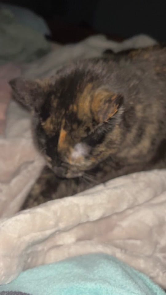 Post 5 by Jacky Navarrete on TikTok (video)