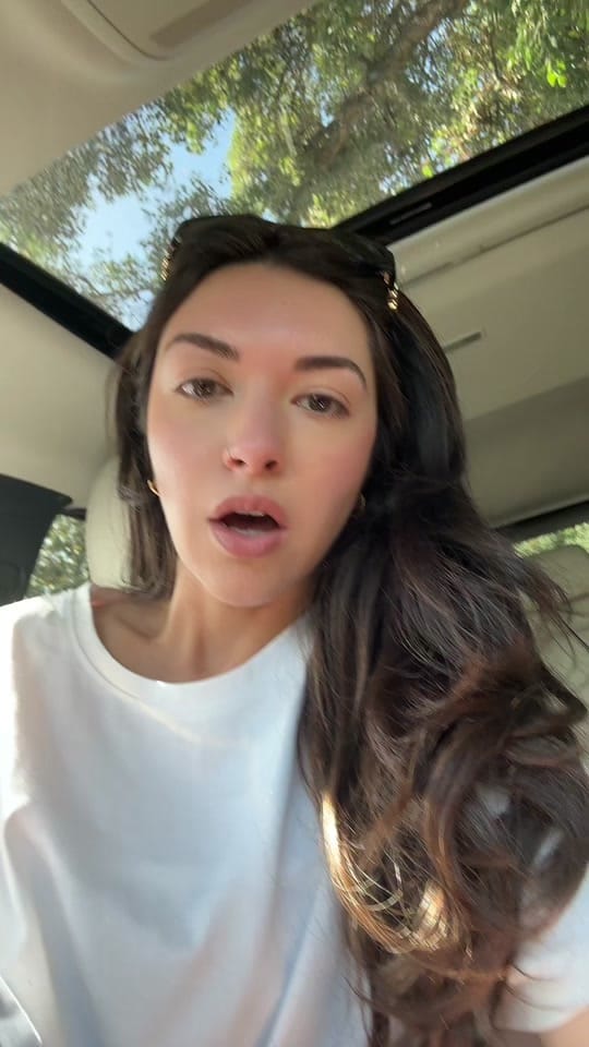 Post 5 by persiangorbeh on TikTok (video)