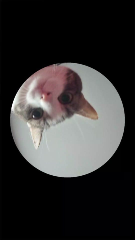 Post 3 by MiyukiHamado 너 on TikTok (video)