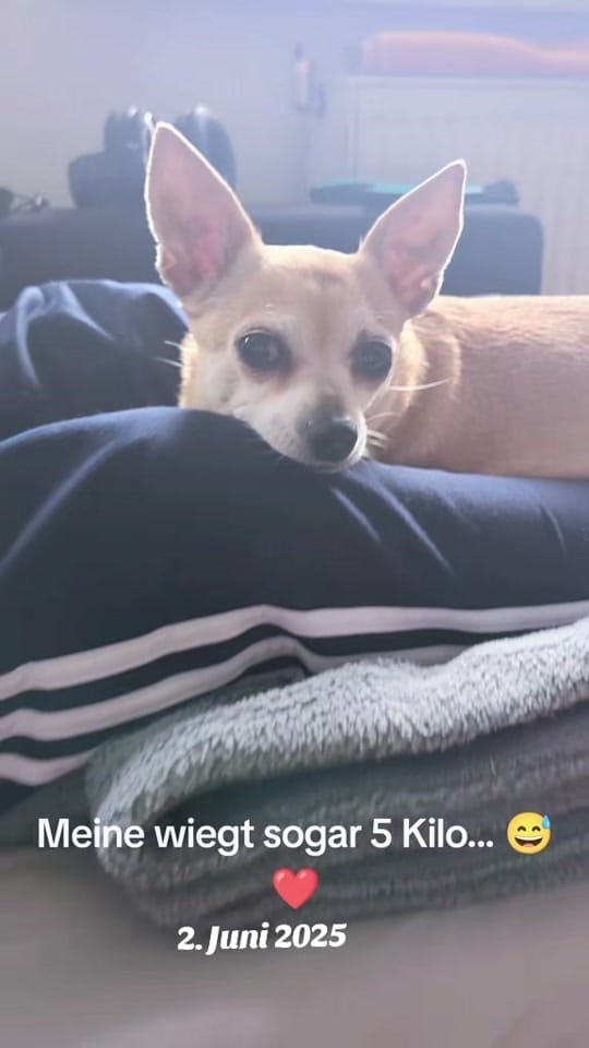 Post 4 by Seraza on TikTok (video)