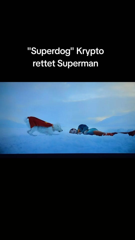 Post 2 by Seraza on TikTok (video)