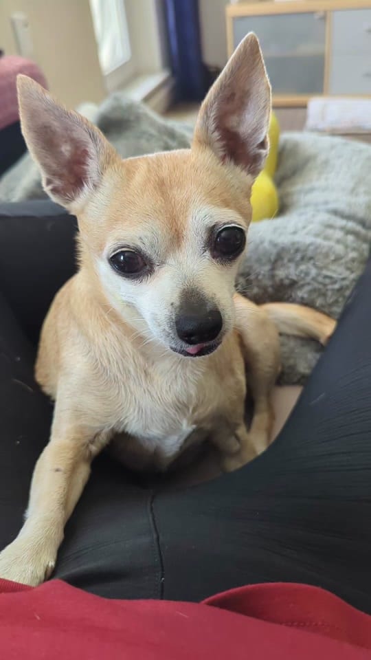 Post 7 by Seraza on TikTok (video)
