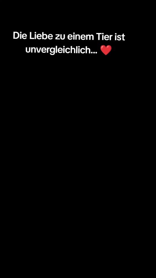 Post 3 by Seraza on TikTok (video)