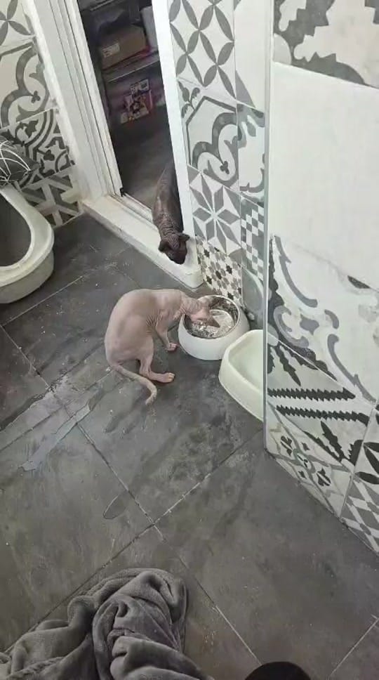 Post 6 by A N D R E A on TikTok (video)