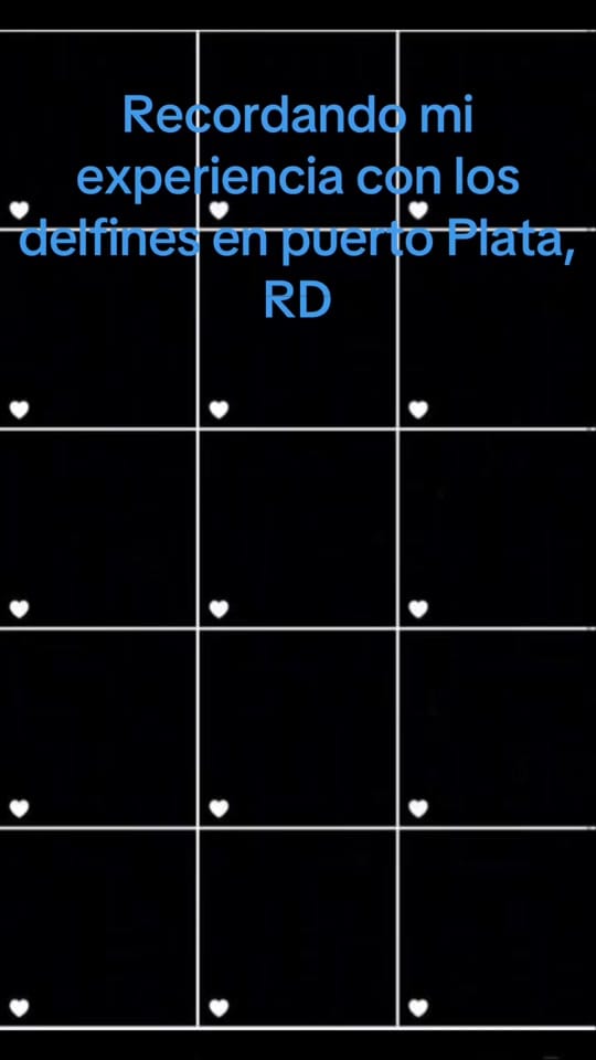 Post 6 by Rhina 24Bronx on TikTok (video)