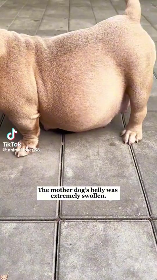 Post 6 by je suis la on TikTok (video)