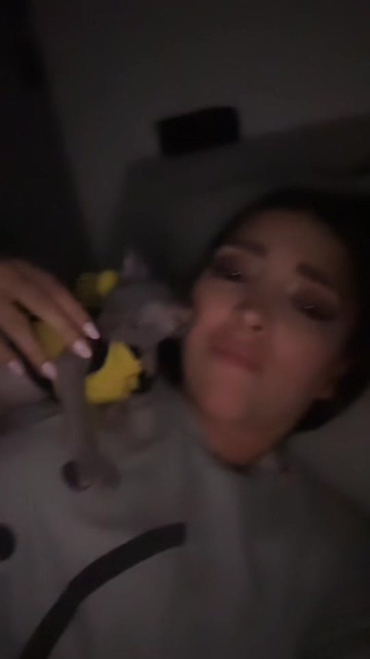 Post 3 by Cindy Lu on TikTok (video)