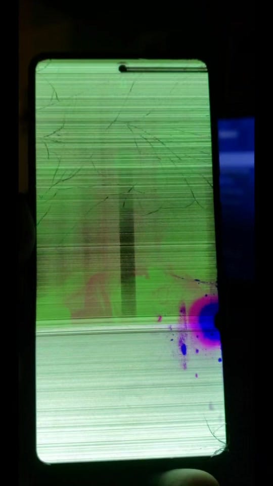 Post 9 by AnnLeeKangeroo on TikTok (video)
