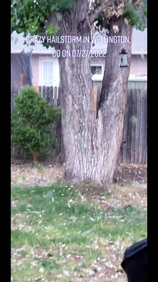 Post 7 by AnnLeeKangeroo on TikTok (video)