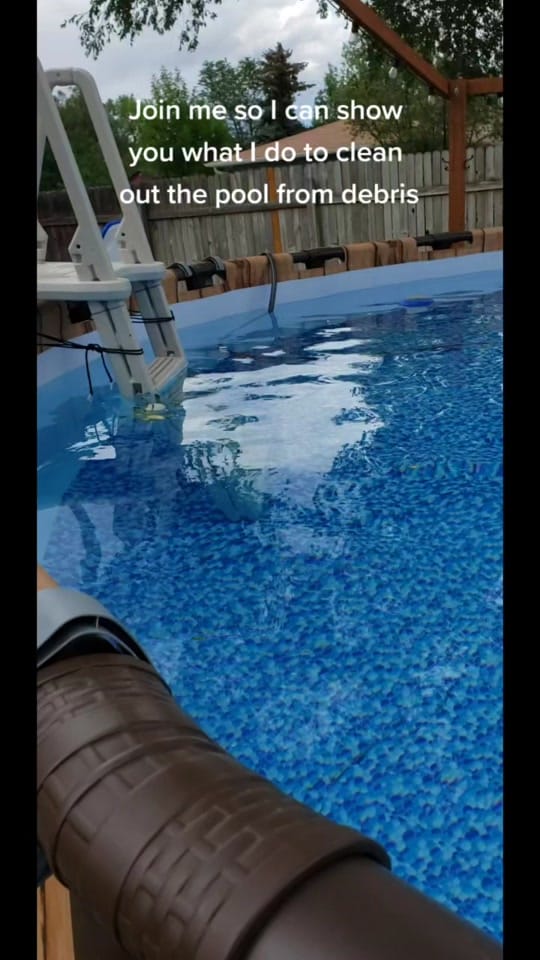 Post 8 by AnnLeeKangeroo on TikTok (video)