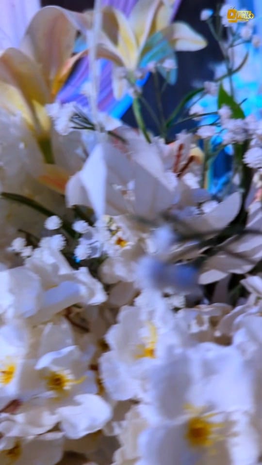 Post 6 by FACT CITY NEWS on TikTok (video)