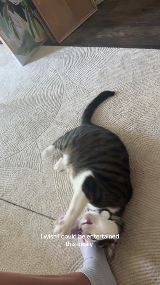 Post 4 by Sydney on TikTok (video)