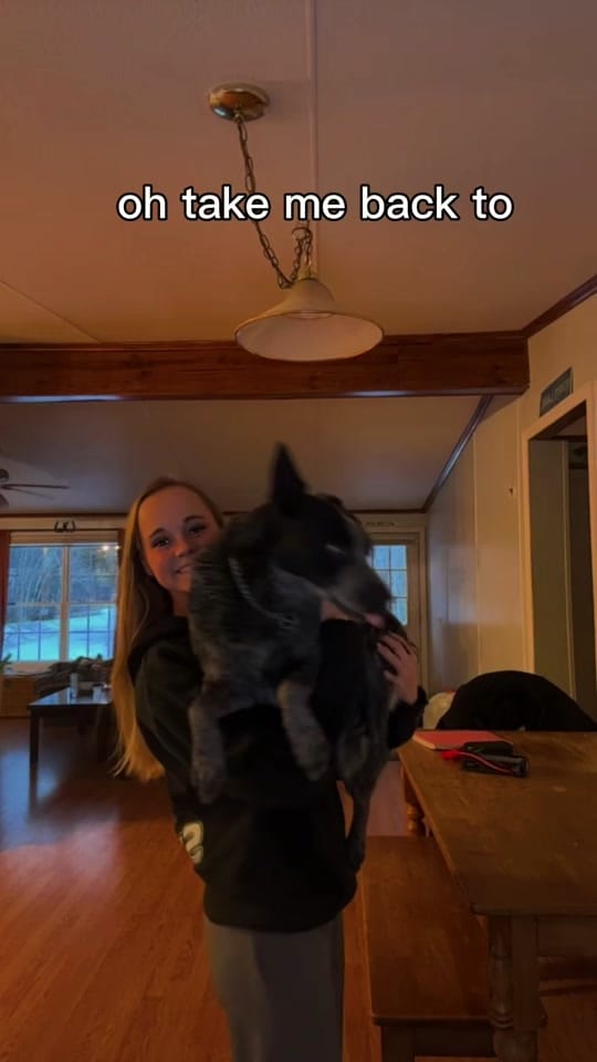 Post 5 by S🤍 on TikTok (video)