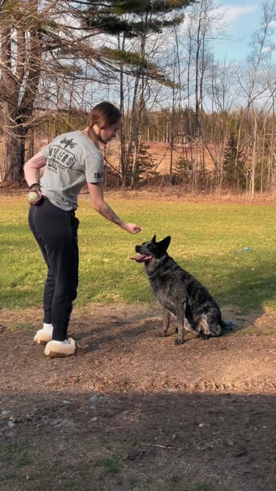 Post 3 by S🤍 on TikTok (video)