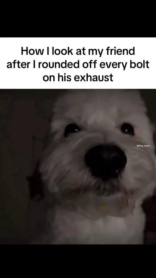 Post 3 by straightpipe on TikTok (video)