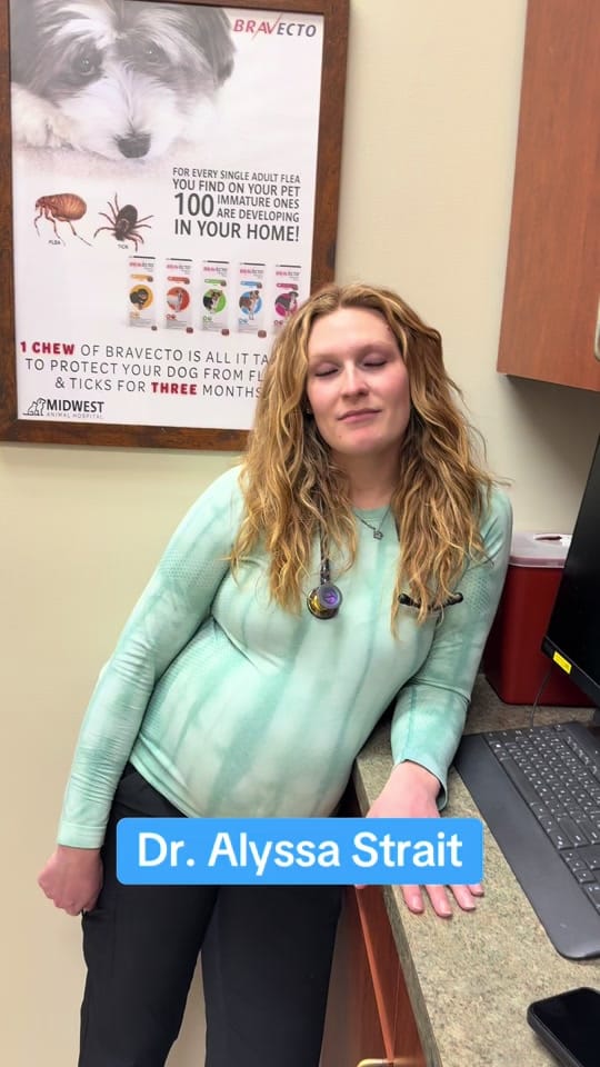 Post 3 by Midwest Animal Hospital on TikTok (video)