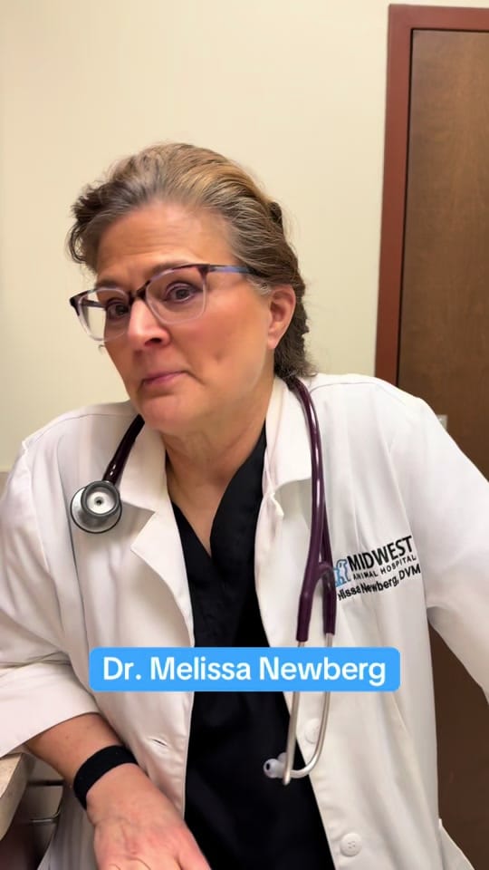 Post 2 by Midwest Animal Hospital on TikTok (video)