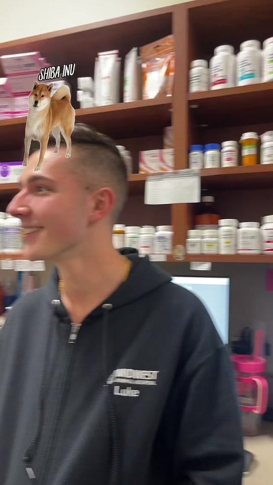 Post 10 by Midwest Animal Hospital on TikTok (video)
