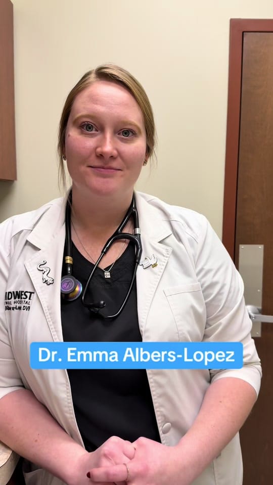 Post 7 by Midwest Animal Hospital on TikTok (video)