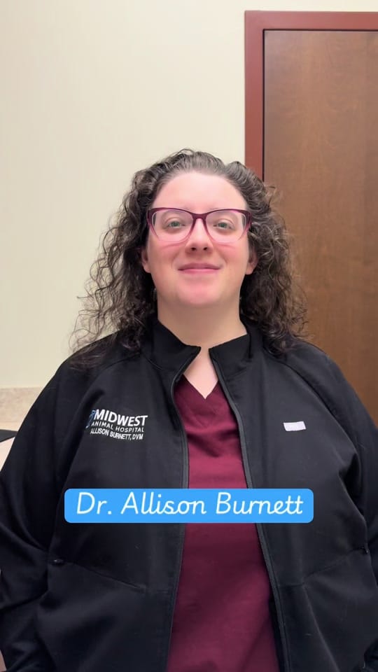 Post 6 by Midwest Animal Hospital on TikTok (video)