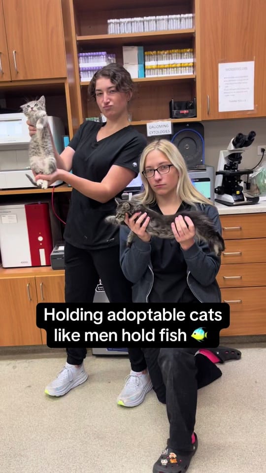 Post 9 by Midwest Animal Hospital on TikTok (video)