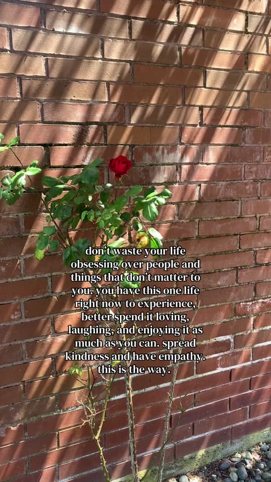 Post 1 by TiSH BLiSS✨ on TikTok (video)