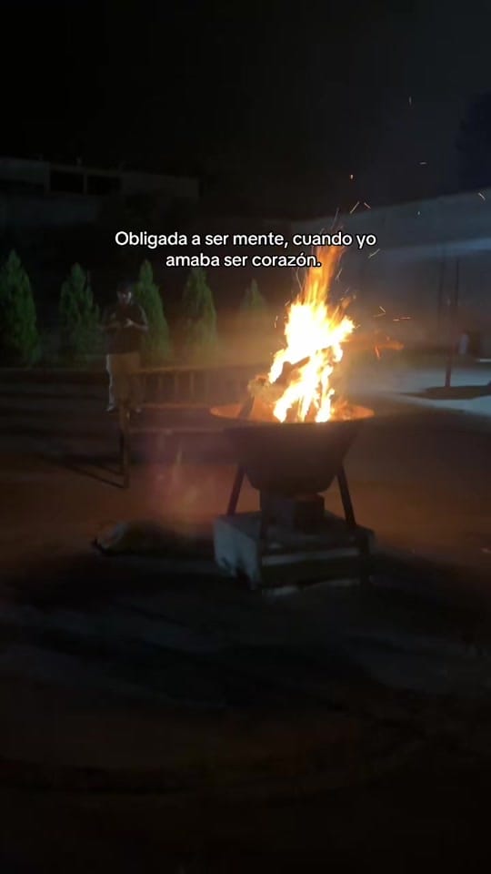 Post 5 by Mar Gozar  🌊 ✨ on TikTok (video)