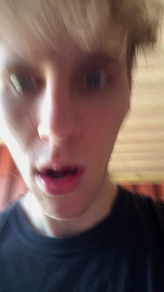 Post 1 by Blonder Prinz on TikTok (video)