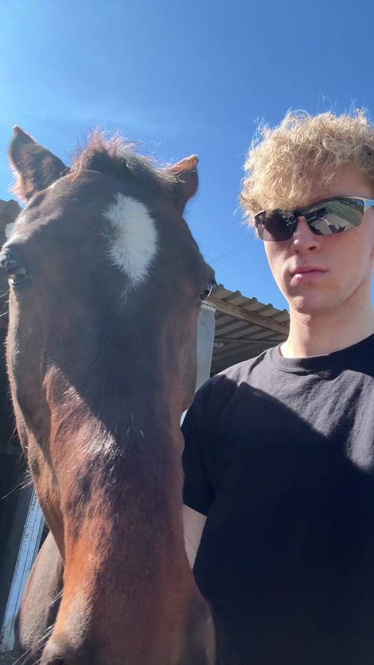 Post 9 by Blonder Prinz on TikTok (video)