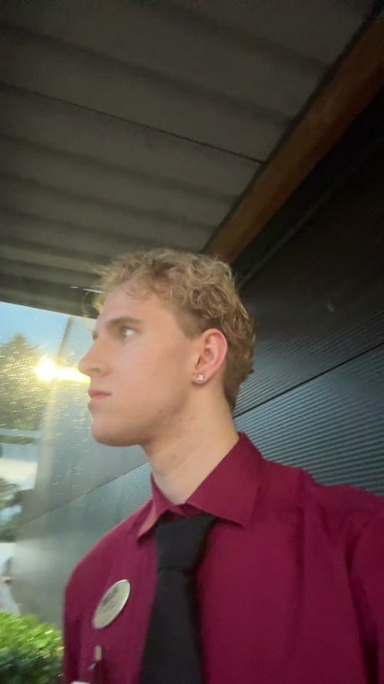 Post 7 by Blonder Prinz on TikTok (video)