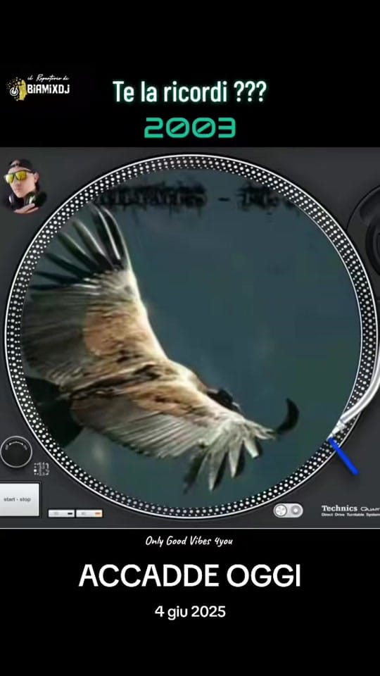 Post 5 by BIAMIXDJ®️ on TikTok (video)
