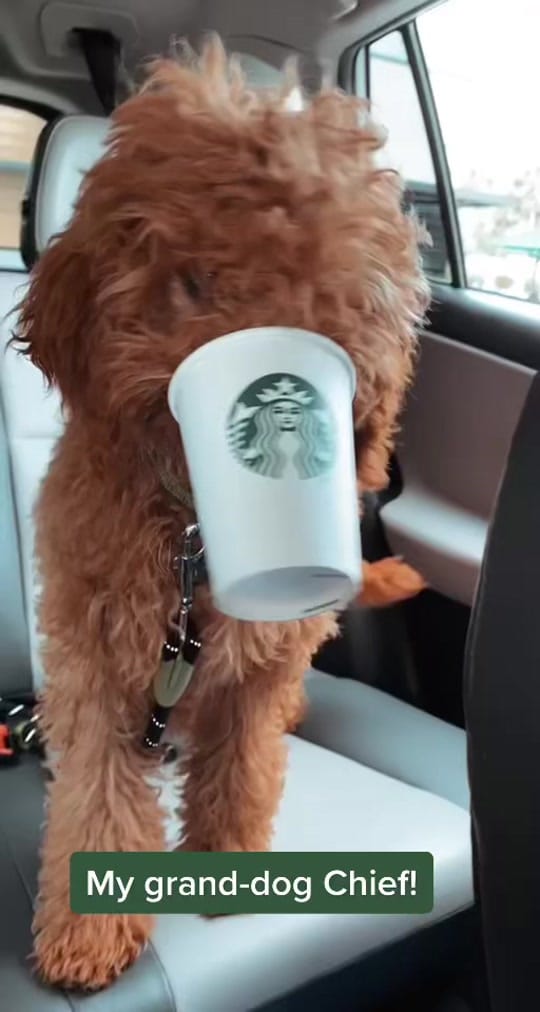 Post 1 by Margie on TikTok (video)