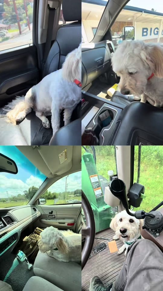 Post 1 by Flghtnurstrav on TikTok (video)