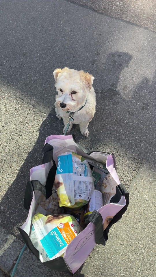 Post 7 by Caro & Fellnasen 🐾 on TikTok (video)