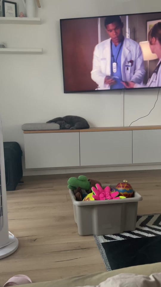 Post 1 by Caro & Fellnasen 🐾 on TikTok (video)