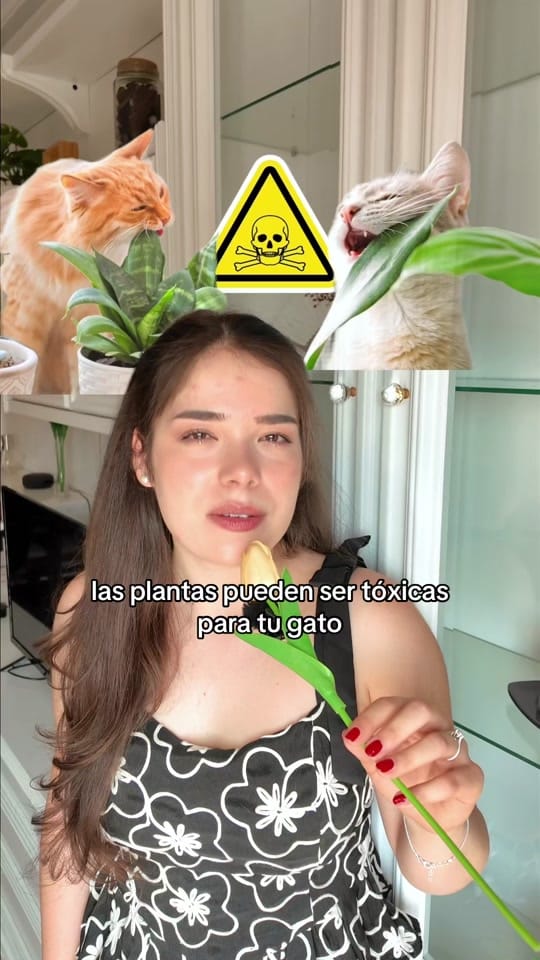 Post 7 by ♡ juds ♡ on TikTok (video)