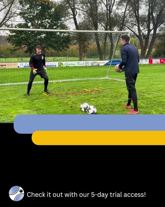 Post 3 by Goalkeeping Development on TikTok (video)
