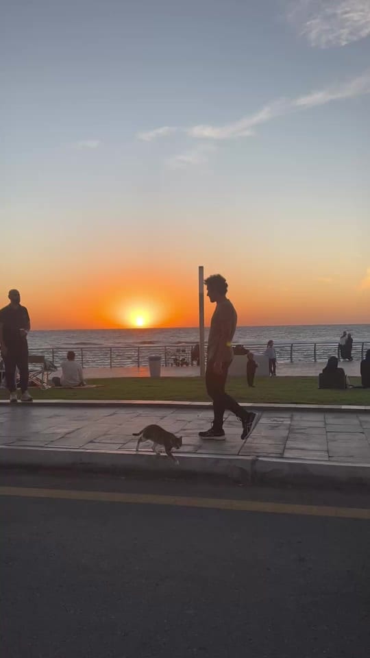 Post 8 by Schafiq 🇩🇪 on TikTok (video)