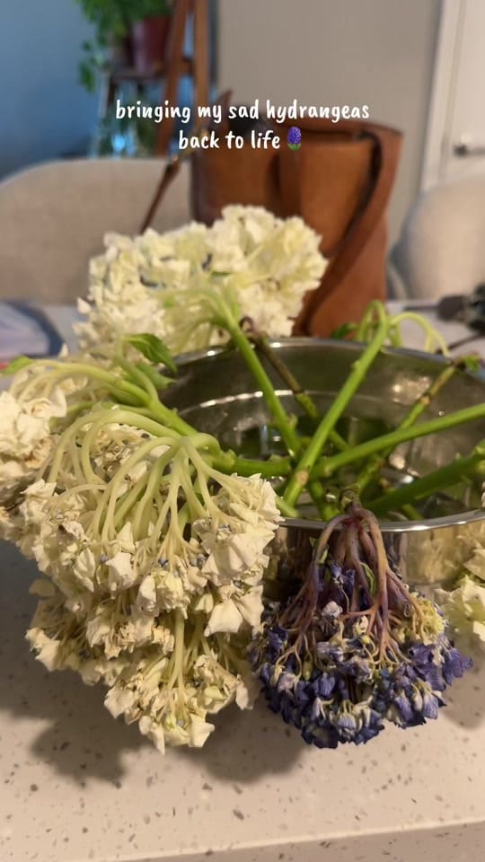 Post 6 by Hope Poppen on TikTok (video)