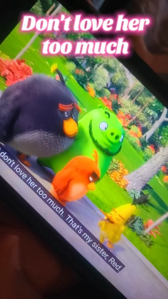 Post 6 by 𝓛𝔂𝓷𝓷 🪷 on TikTok (video)