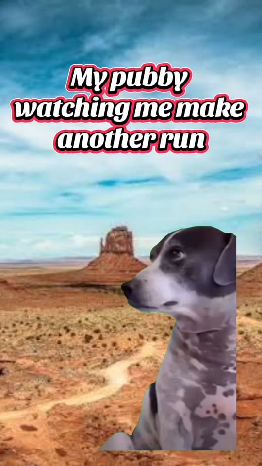 Post 3 by 𝓛𝔂𝓷𝓷 🪷 on TikTok (video)