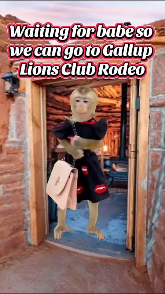 Post 4 by 𝓛𝔂𝓷𝓷 🪷 on TikTok (video)