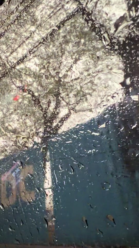 Post 4 by Kotche Roo on TikTok (video)